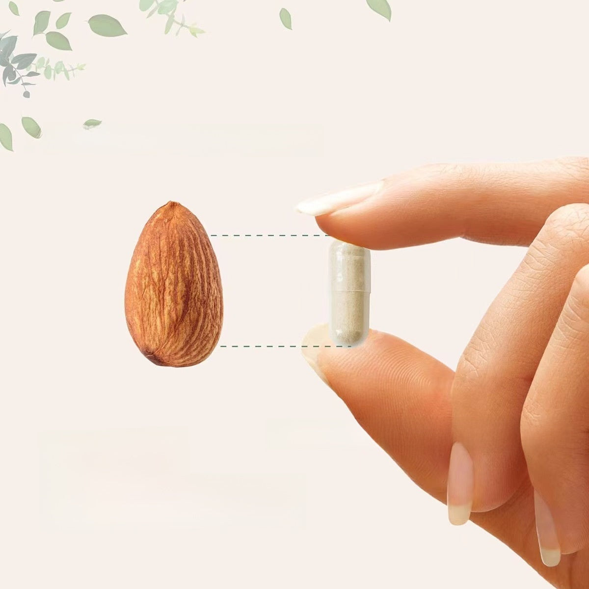 Collagen peptide capsules